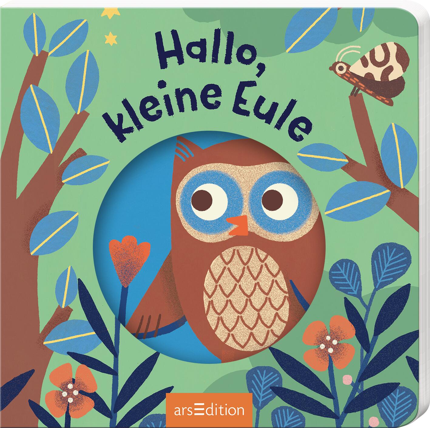 Hallo, kleine Eule