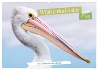 Wildtierkalender (Wandkalender 2025 DIN A2 quer), CALVENDO Monatskalender