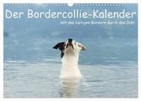 Der Bordercollie-Kalender (Wandkalender 2025 DIN A3 quer), CALVENDO Monatskalender