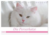 Die Perserkatze - Farbschlag Weiß (Tischkalender 2025 DIN A5 quer), CALVENDO Monatskalender