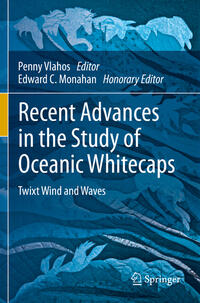 Recent Advances in the Study of Oceanic Whitecaps