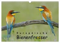 Europäische Bienenfresser (Wandkalender 2025 DIN A3 quer), CALVENDO Monatskalender