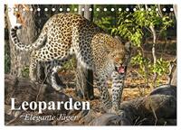 Leoparden. Elegante Jäger (Tischkalender 2025 DIN A5 quer), CALVENDO Monatskalender