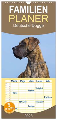 Familienplaner 2025 - Deutsche Dogge mit 5 Spalten (Wandkalender, 21 x 45 cm) CALVENDO