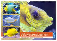 Salzwasseraquarium. Meeresfische im heimischen Wohnzimmer (Wandkalender 2025 DIN A3 quer), CALVENDO Monatskalender