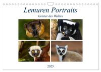 Lemuren Portraits (Wandkalender 2025 DIN A4 quer), CALVENDO Monatskalender