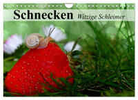 Schnecken. Witzige Schleimer (Wandkalender 2025 DIN A4 quer), CALVENDO Monatskalender