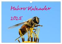 Makro-Kalender 2025 (Wandkalender 2025 DIN A3 quer), CALVENDO Monatskalender