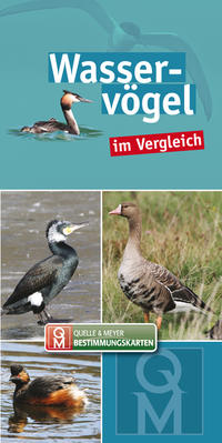 Wasservögel im Vergleich