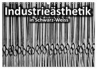 Industrieästhetik in Schwarz-Weiss (Wandkalender 2025 DIN A3 quer), CALVENDO Monatskalender