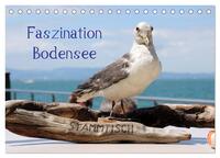 Faszination Bodensee (Tischkalender 2025 DIN A5 quer), CALVENDO Monatskalender