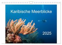 Karibische Meerblicke (Wandkalender 2025 DIN A4 quer), CALVENDO Monatskalender