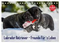 Labrador Retriever - Freunde für´s Leben (Tischkalender 2025 DIN A5 quer), CALVENDO Monatskalender