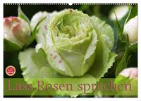 Lass Rosen sprechen (Wandkalender 2025 DIN A2 quer), CALVENDO Monatskalender