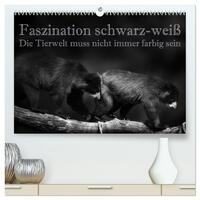 Faszination schwarz-weiß - Die Tierwelt muss nicht immer farbig sein (hochwertiger Premium Wandkalender 2025 DIN A2 quer), Kunstdruck in Hochglanz