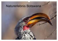 Naturerlebnis Botswana (Wandkalender 2025 DIN A2 quer), CALVENDO Monatskalender