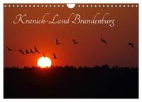 Kranich-Land Brandenburg (Wandkalender 2025 DIN A4 quer), CALVENDO Monatskalender