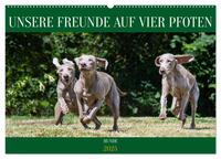 Unsere Freunde auf vier Pfoten - Hunde (Wandkalender 2025 DIN A2 quer), CALVENDO Monatskalender