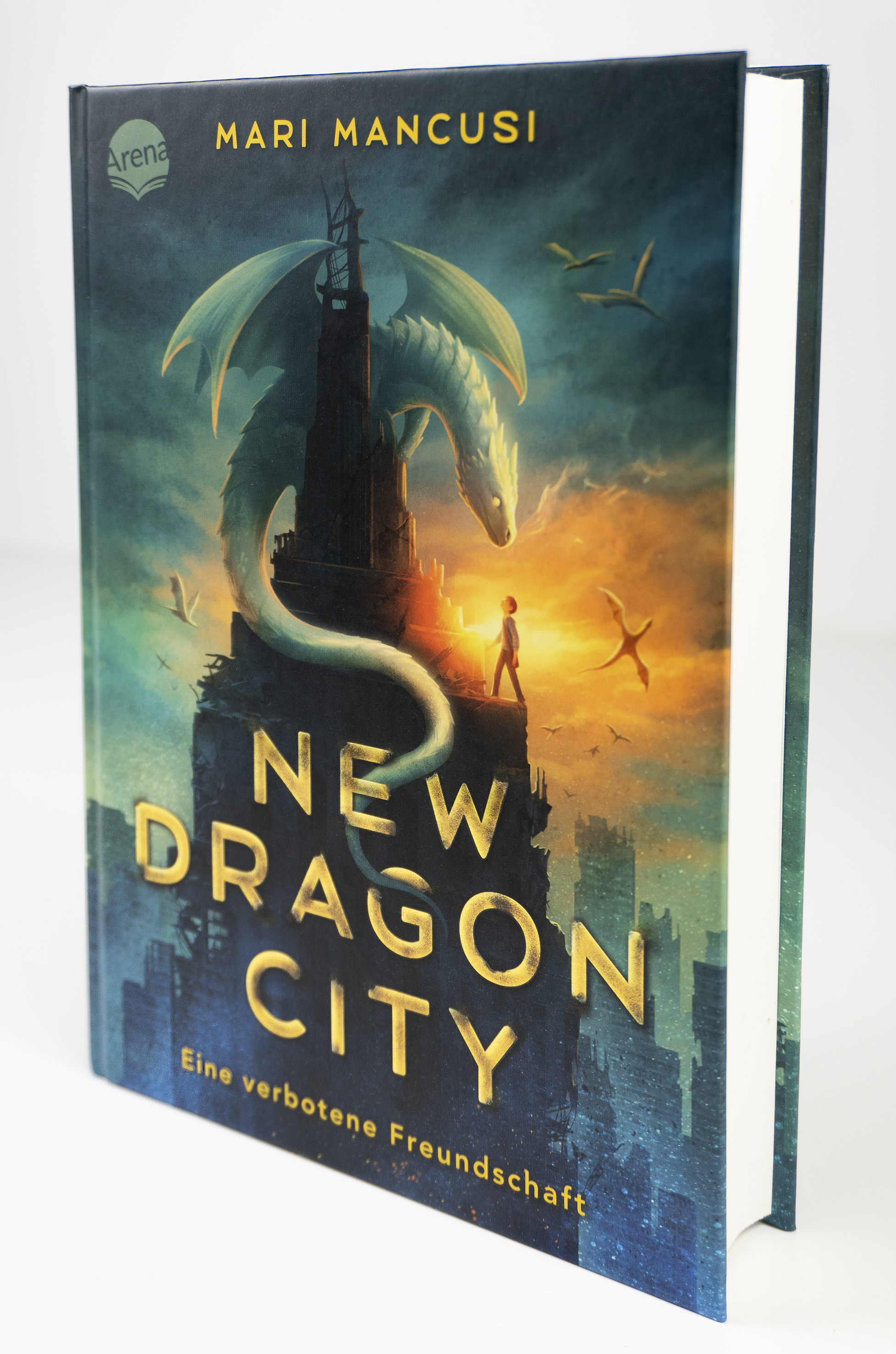 New Dragon City – Ein Junge. Ein Drache. Eine verbotene Freundschaft