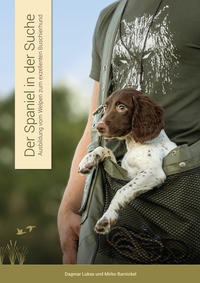 Der Spaniel in der Suche