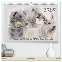 Französische Hirtenhunde 2025 (hochwertiger Premium Wandkalender 2025 DIN A2 quer), Kunstdruck in Hochglanz