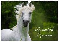 Traumpferd Lipizzaner (Wandkalender 2025 DIN A3 quer), CALVENDO Monatskalender