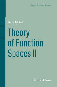 Theory of Function Spaces II