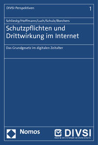 Schutzpflichten und Drittwirkung im Internet