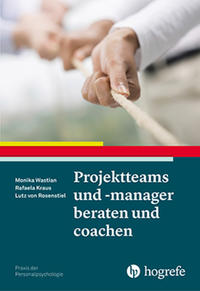 Projektteams und -manager beraten und coachen