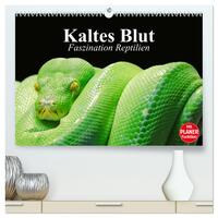 Kaltes Blut. Faszination Reptilien (hochwertiger Premium Wandkalender 2025 DIN A2 quer), Kunstdruck in Hochglanz