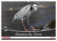 Heimische Tiere (Wandkalender 2025 DIN A2 quer), CALVENDO Monatskalender