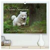 Kleine Samojeden - Eisbärchen Abenteuer im Märchenwald (hochwertiger Premium Wandkalender 2025 DIN A2 quer), Kunstdruck in Hochglanz