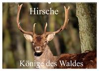 Hirsche - Könige des Waldes/Geburtstagskalender (Wandkalender 2025 DIN A2 quer), CALVENDO Monatskalender