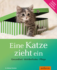 Eine Katze zieht ein