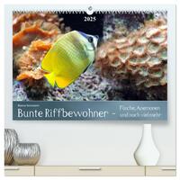 Bunte Riffbewohner - Fische, Anemonen und noch viel mehr (hochwertiger Premium Wandkalender 2025 DIN A2 quer), Kunstdruck in Hochglanz