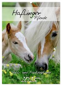 Haflinger Pferde - Stall- und Familienplaner 2025 (Wandkalender 2025 DIN A2 hoch), CALVENDO Monatskalender