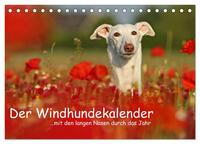 Der Windhundekalender (Tischkalender 2025 DIN A5 quer), CALVENDO Monatskalender