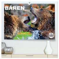 Bären (hochwertiger Premium Wandkalender 2025 DIN A2 quer), Kunstdruck in Hochglanz