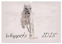 Whippet 2025 (Wandkalender 2025 DIN A3 quer), CALVENDO Monatskalender