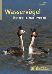 Wasservögel