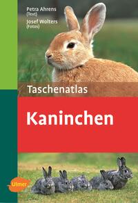 Kaninchen