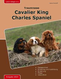 Traumrasse: Cavalier King Charles Spaniel