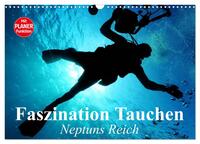 Faszination Tauchen. Neptuns Reich (Wandkalender 2025 DIN A3 quer), CALVENDO Monatskalender