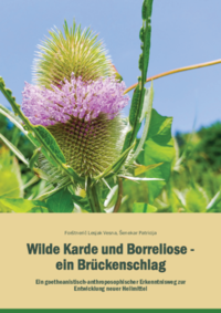 Wilde Karde und Borreliose – ein Brückenschlag