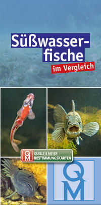 Süßwasserfische im Vergleich