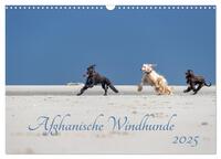 AFGHANISCHE WINDHUNDE 2025 (Wandkalender 2025 DIN A3 quer), CALVENDO Monatskalender