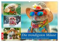 Die trendigsten Mäuse. Mode-Saison in der niedlichen Pelzchenwelt (Wandkalender 2025 DIN A2 quer), CALVENDO Monatskalender