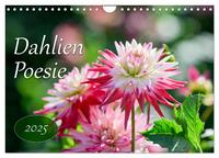 Dahlien Poesie (Wandkalender 2025 DIN A4 quer), CALVENDO Monatskalender