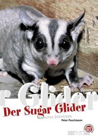 Der Sugar Glider