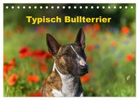 Typisch Bullterrier (Tischkalender 2025 DIN A5 quer), CALVENDO Monatskalender